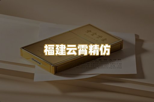 福建云霄精仿